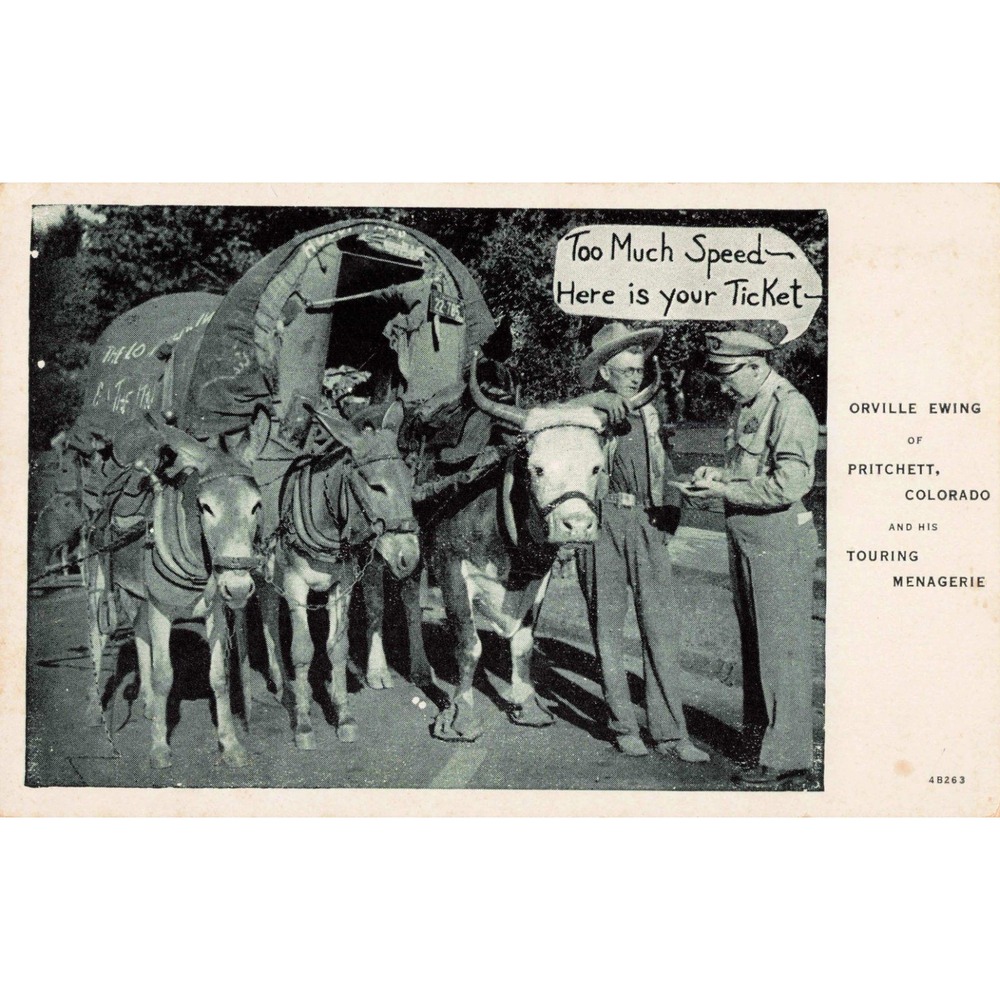 Orville Ewing Pritchett Colorado CO Touring Menagerie Comic Linen Postcard 1934